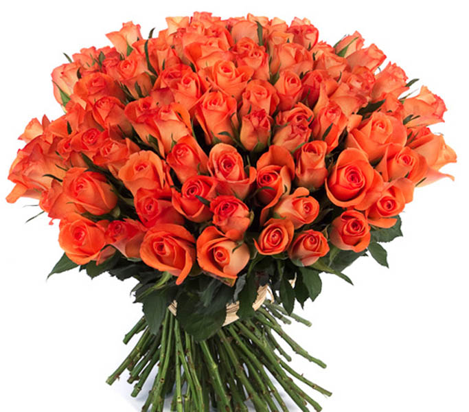 Compositions ORANGEADE Bouquet  de  100 roses  oranges 